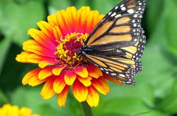 在线手机号轰炸